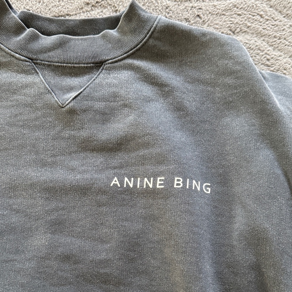 Anine Bing Charcoal Sweatshirt